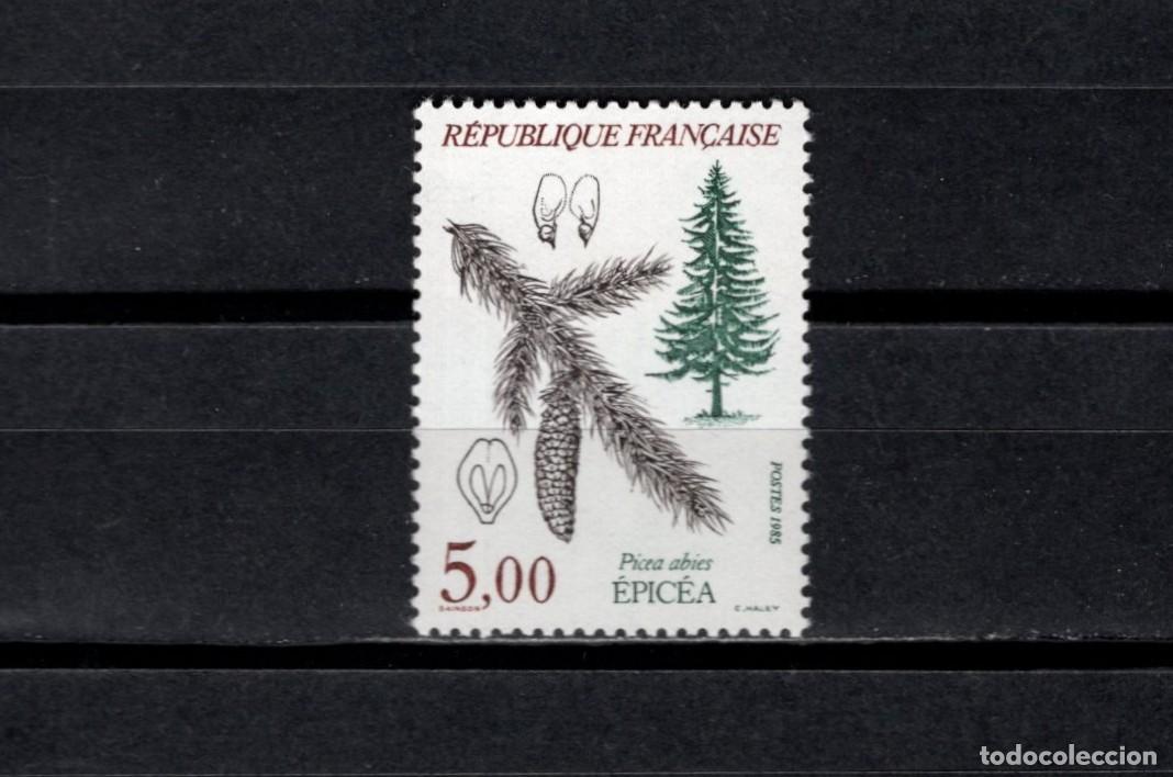 Sellos: Sello nuevon. Arboles. Abeto rojo. Sello de 5 francos. Octubre 1985. Yvert 2387.