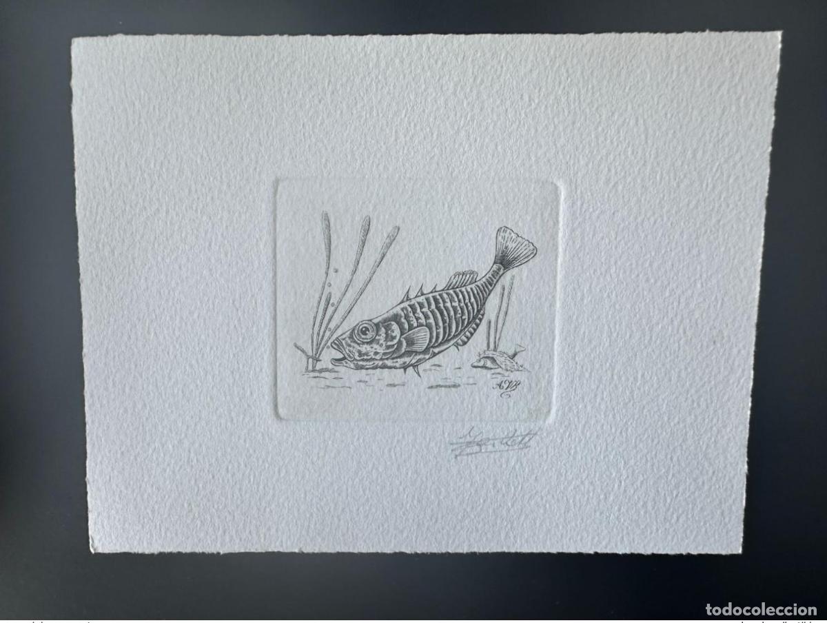 Sellos: B&eacute;lgica 1990 COB 2386 Prueba art&iacute;stica FDC Poisson Fish Fisch Epinoche