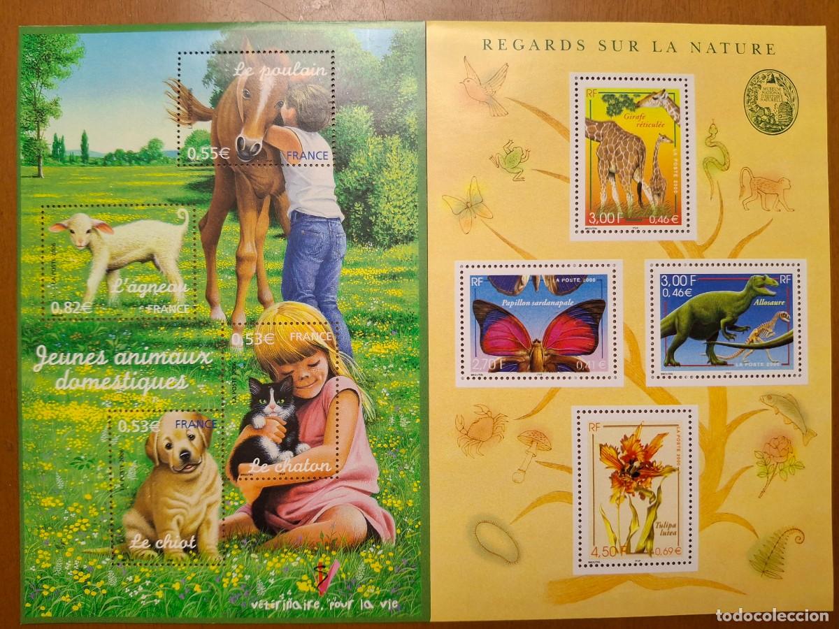 Briefmarken: HB839 HOJITAS BLOQUE de FRANCIA en NUEVO ideal para tematicas (leer descripcion)