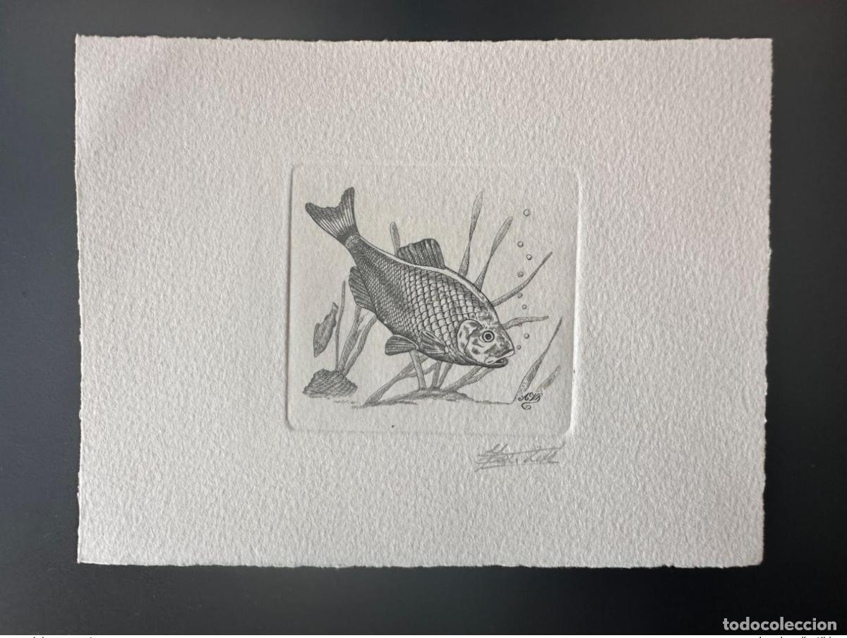 Sellos: B&eacute;lgica 1990 COB 2385 Prueba art&iacute;stica FDC Poisson Fish Fisch Bouvi&egrave;re