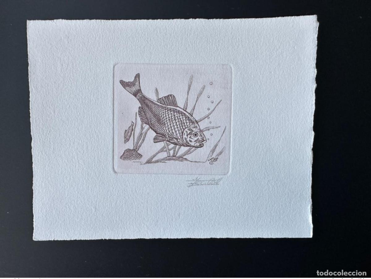 Sellos: B&eacute;lgica 1990 COB 2385 Prueba art&iacute;stica FDC Poisson Fish Fisch Red Duck