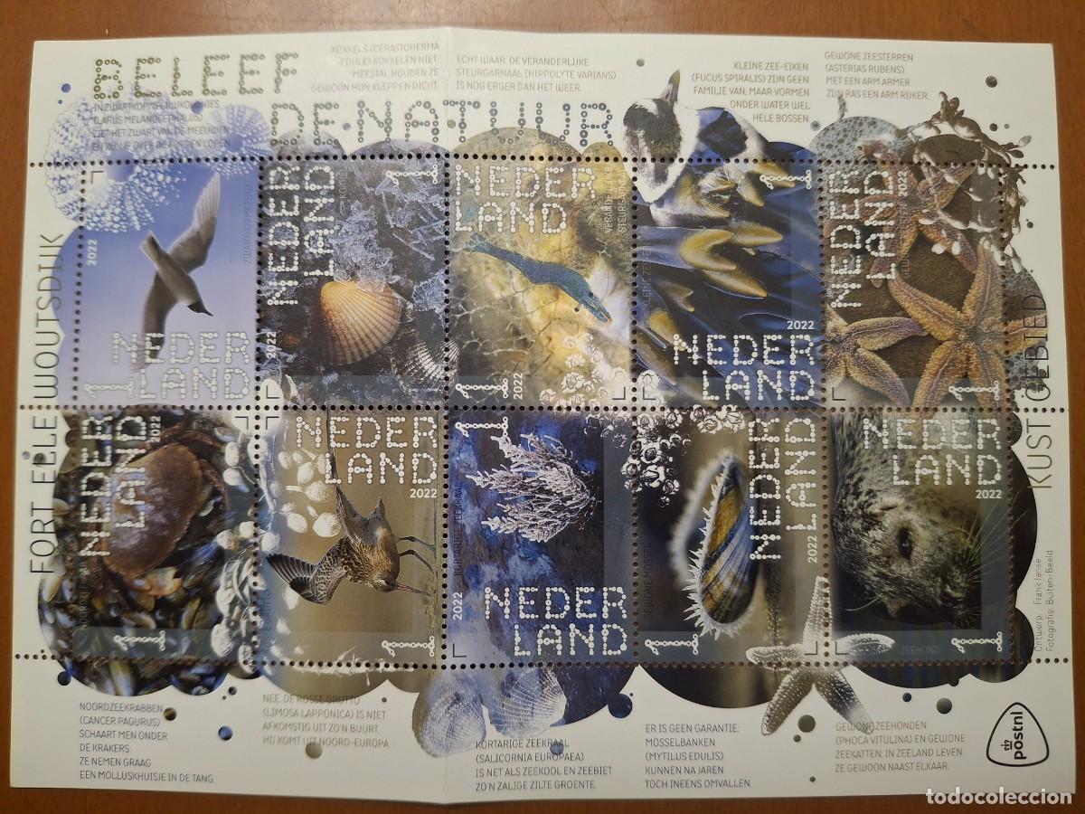 Timbres: HB910 HOJITAS BLOQUE de colonias francesas en NUEVO ideal para tematicas (leer descripcion)