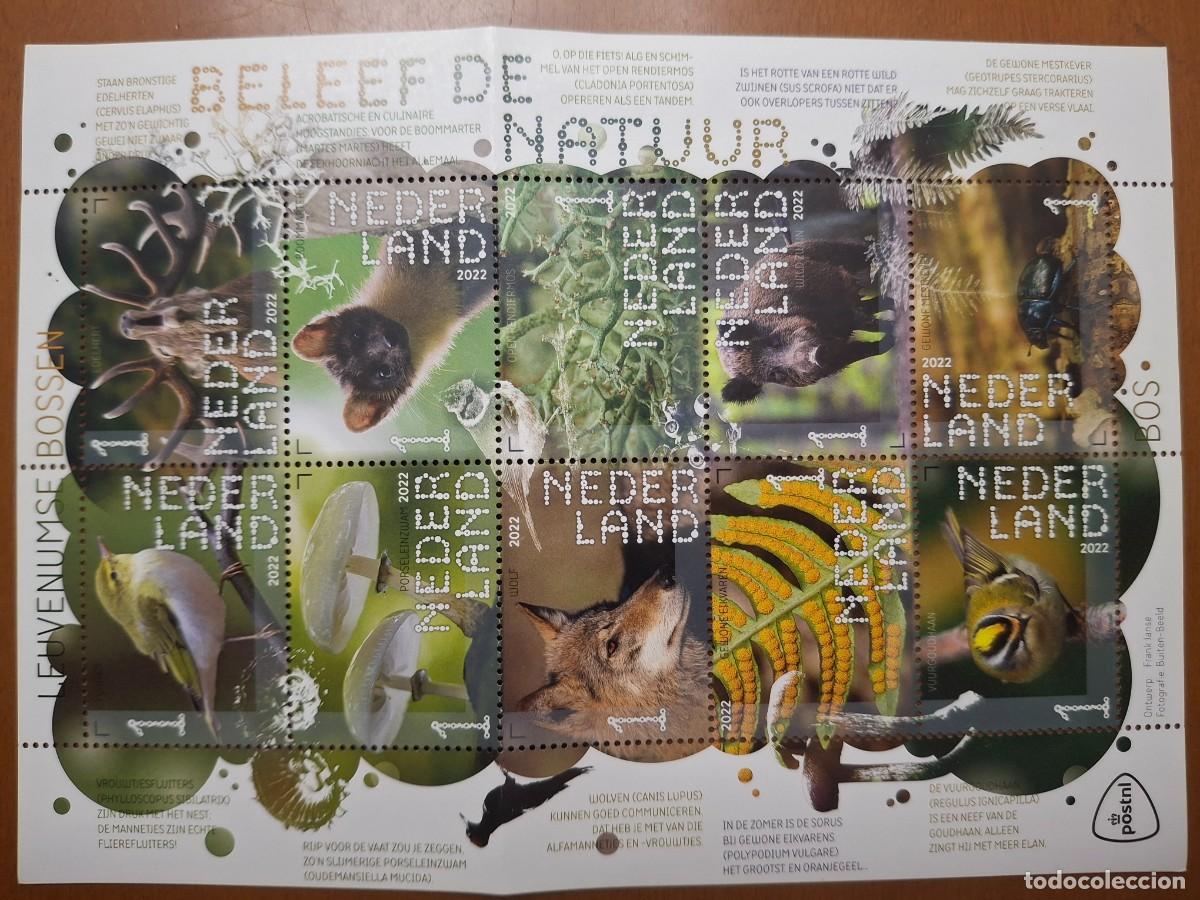Timbres: HB911 HOJITAS BLOQUE de colonias francesas en NUEVO ideal para tematicas (leer descripcion)