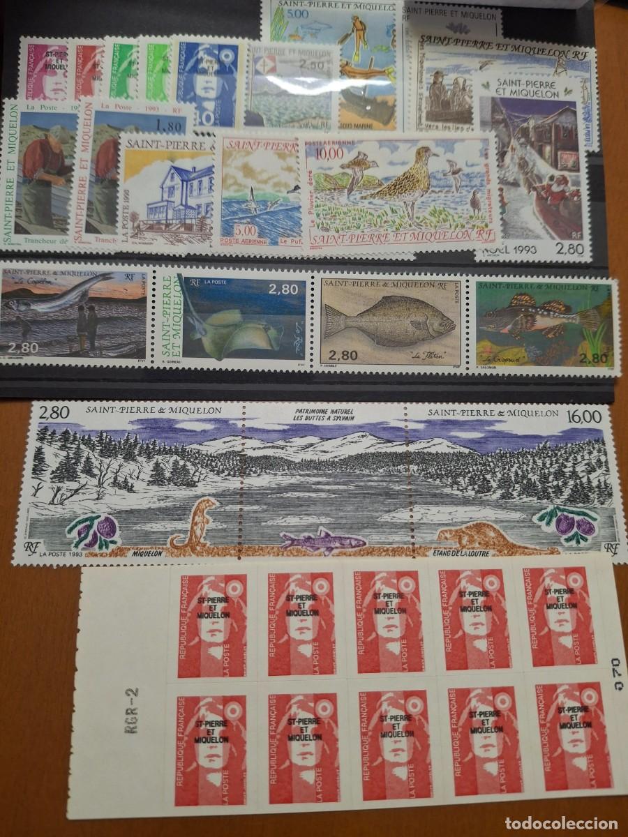 Selos: HB1512 Sellos ST. PIERRE Y MIQUELON a&ntilde;o 1993** en NUEVO con aereo y carne v.c. 48.60 &euro;