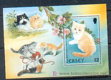 Sellos: Jersey ** (Gatos) - Foto 1