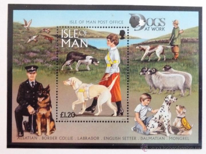 Sellos: HB ISLA DE MAN 1996. PERROS. NUEVA. - Foto 1