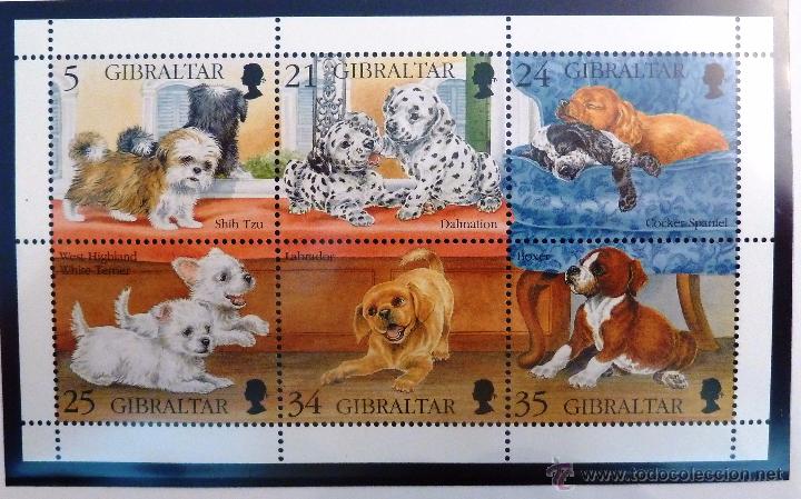 Sellos: HB  GIBRALTAR 1996. NUEVOS. PERROS. - Foto 1