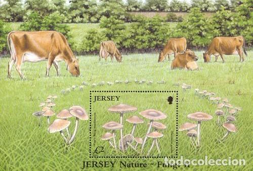 Sellos: [CF4069] Jersey 2005, HB Hongos (MNH) - Foto 1
