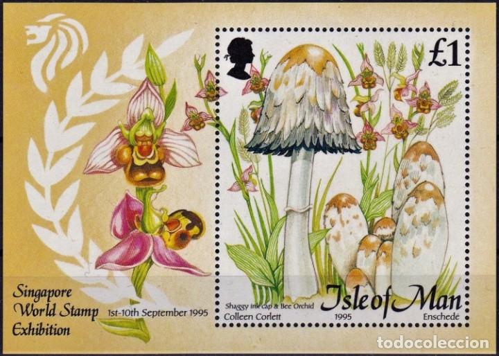 Sellos: [CF7844] Isla de Man, 1995, HB Setas (MNH) - Foto 1