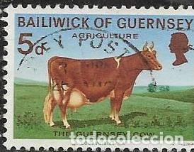 Sellos: GUERNSEY YVERT 27 - Foto 1
