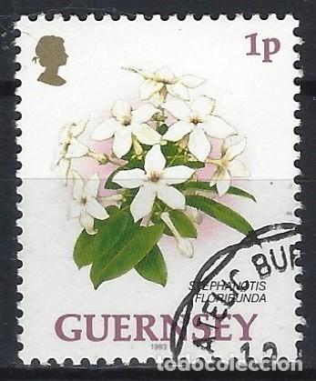 guernsey 1993 - flores, jazmín de madagascar - - Comprar Sellos antiguos de  Gran Bretaña en todocoleccion - 299292843