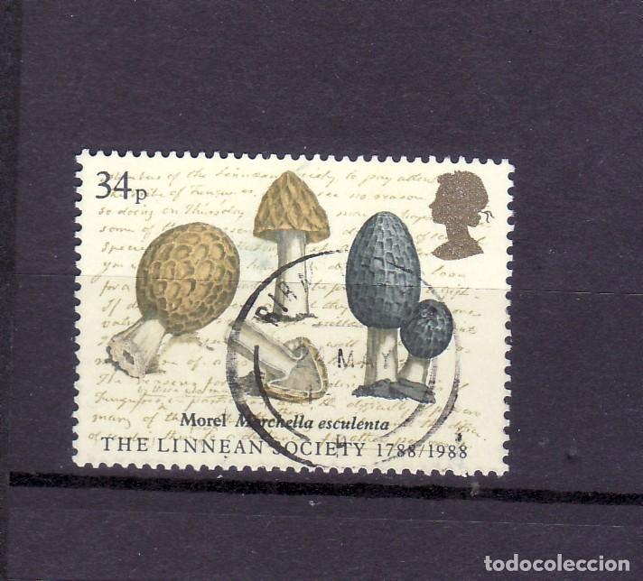 Sellos: INGLATERRA SELLO MATASELLADO - Foto 1