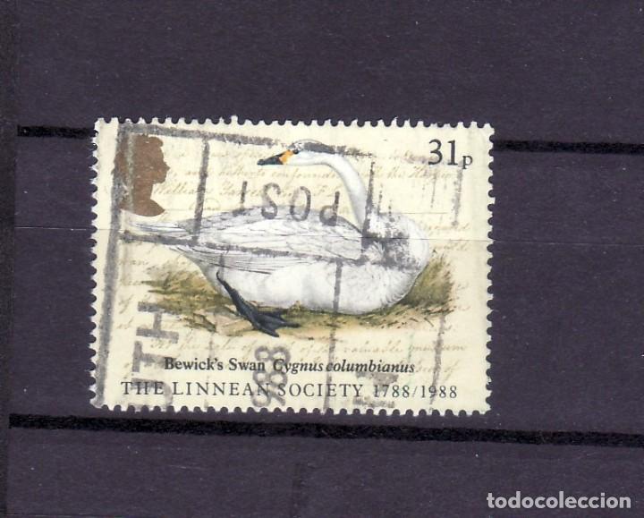 Sellos: INGLATERRA SELLO MATASELLADO - Foto 1