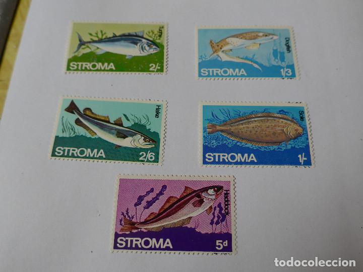 Sellos: STROMA SERIE TEMATICA DE PECES 5 VALORES - Foto 3