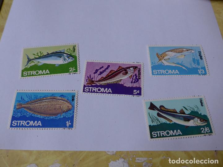 Sellos: STROMA SERIE TEMATICA DE PECES 5 VALORES - Foto 3