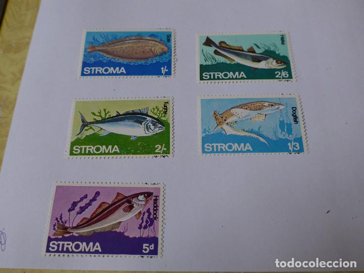 Sellos: STROMA SERIE TEMATICA DE PECES 5 VALORES - Foto 3