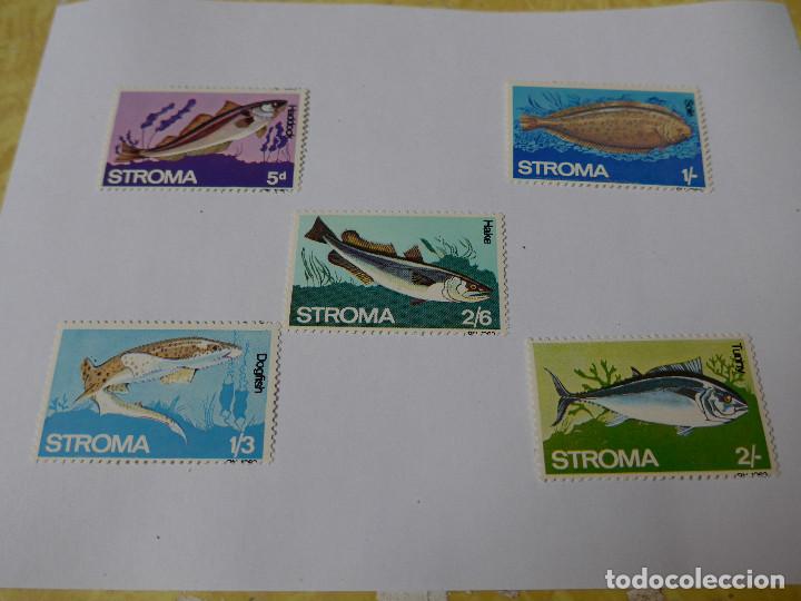 Sellos: STROMA SERIE TEMATICA DE PECES 5 VALORES - Foto 3