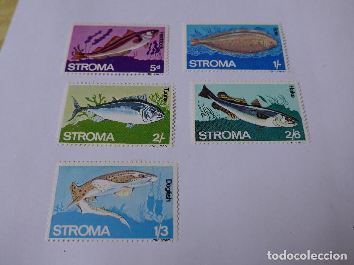 Sellos: STROMA SERIE TEMATICA DE PECES 5 VALORES - Foto 3