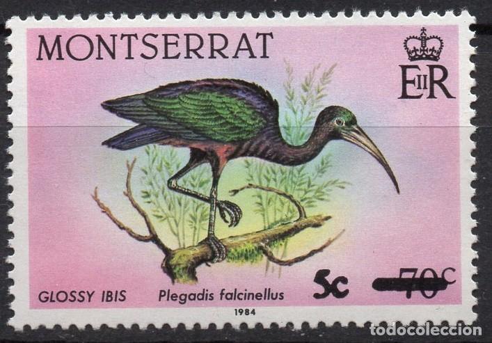 Sellos: MONTSERRAT/1987/MNH/SC#651/ PAJAROS/ ANIMALES / GLOSSY IBIS / 5c EN 70c SOBRECARGA