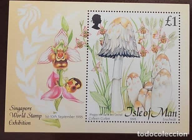 Timbres: O) 1995 ISLE OF MAN, MUSHROOMS - SHAGGY INK CAP BEE ORCHID, MNH