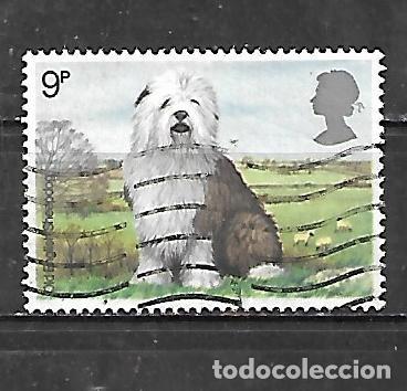 Sellos: 1979: perros - Pastor ingl&eacute;s (usado) - Foto 1