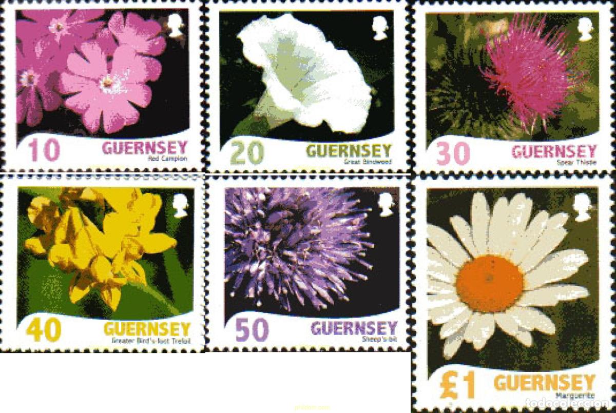 Sellos: 238248 MNH GUERNSEY 2008 - Foto 1