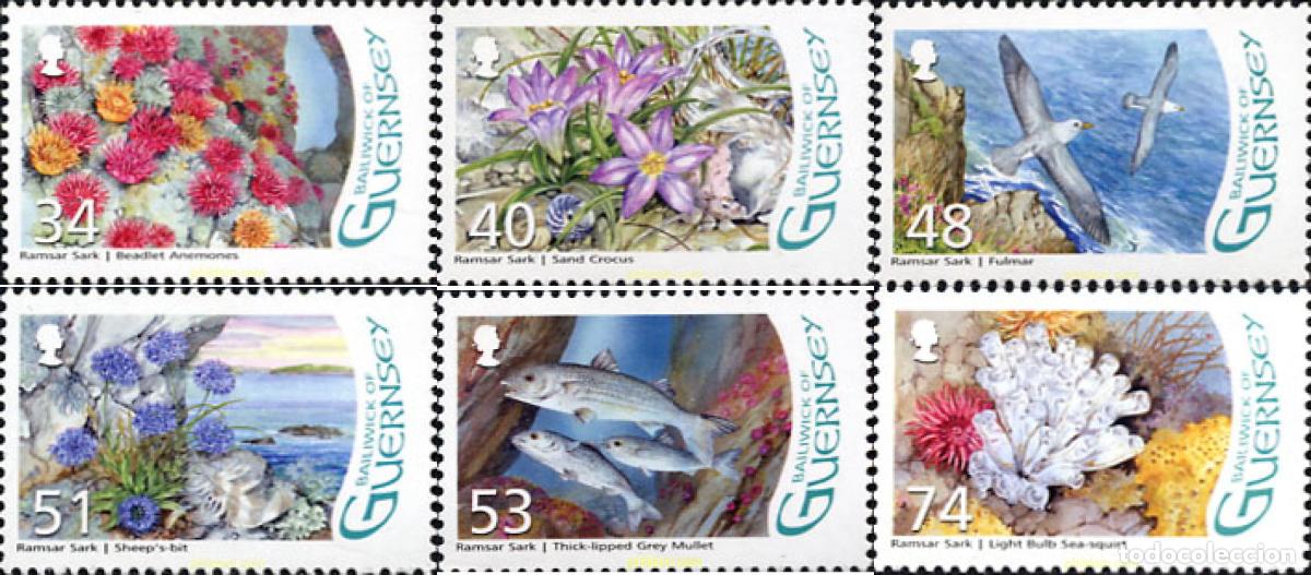 Sellos: 238262 MNH GUERNSEY 2008 - Foto 1