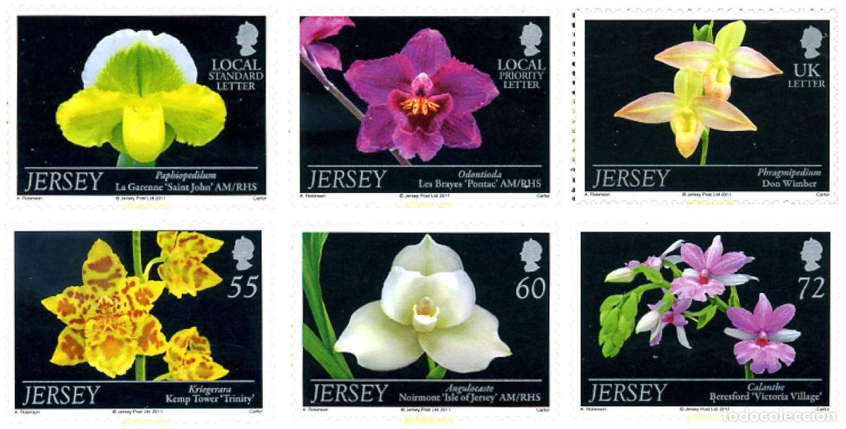 Sellos: 263115 MNH JERSEY 2011 - Foto 1