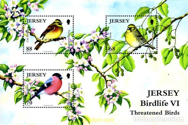 Sellos: 287420 MNH JERSEY 2012 - Foto 1
