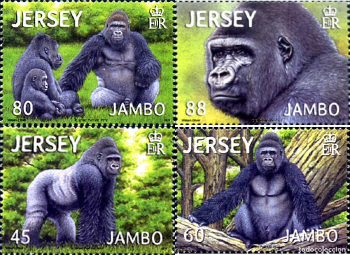 Sellos: 288397 MNH JERSEY 2012 GORILAS - Foto 1