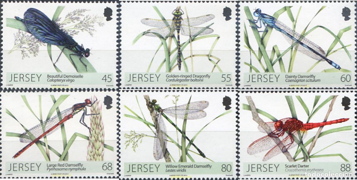 Sellos: 302658 MNH JERSEY 2013 LIBELULAS - Foto 1