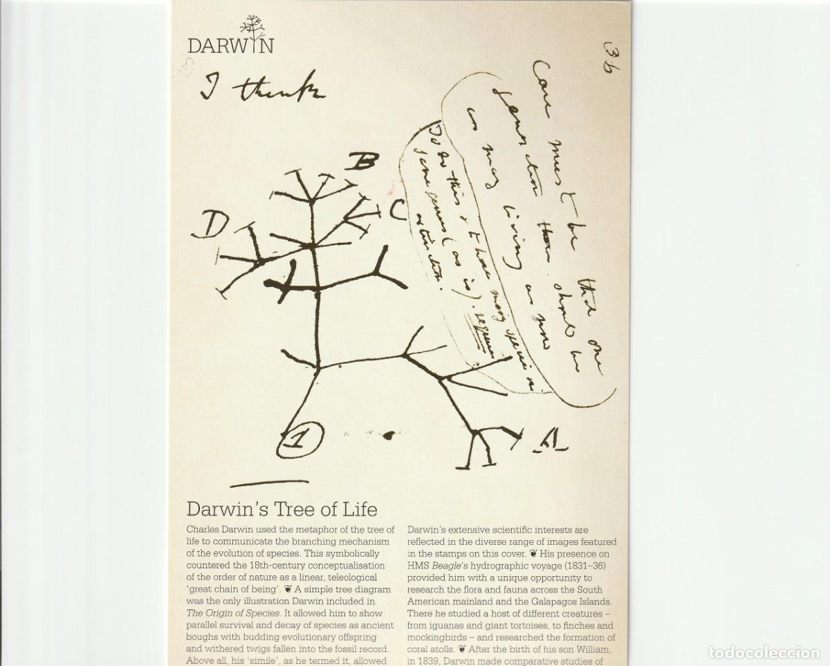 Sellos: Sellos GB - Charles Darwin - Foto 5