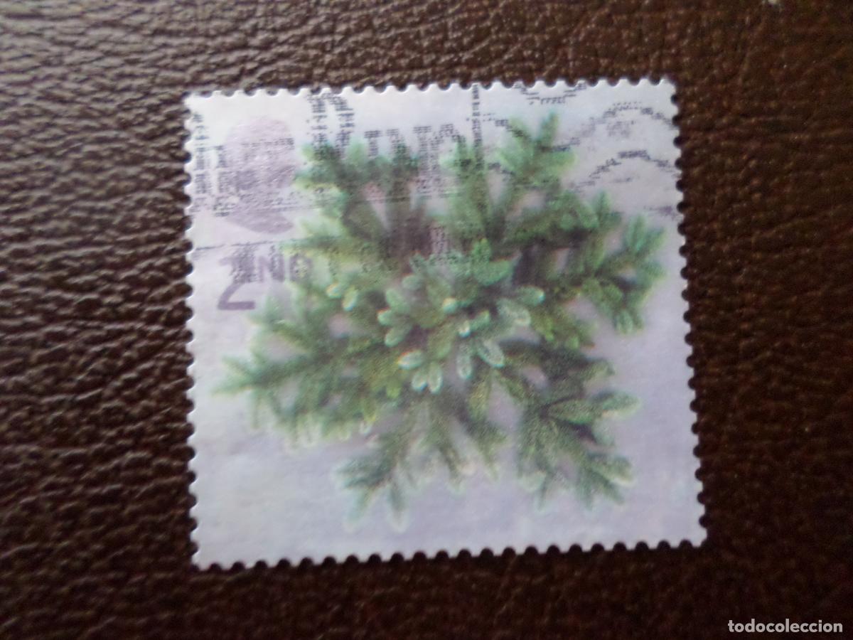 Sellos: .inglaterra, sello usado tema flora - Foto 1