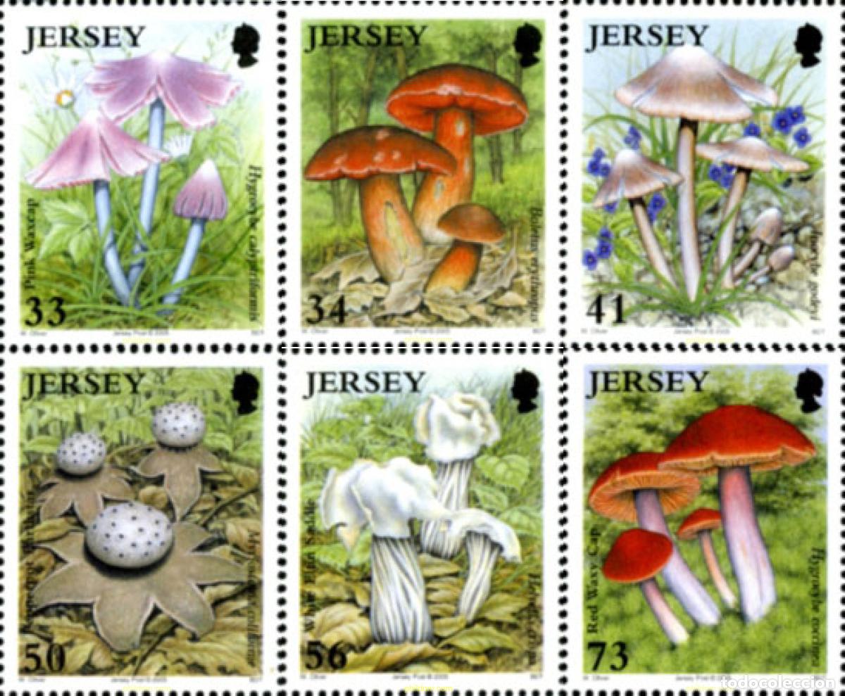 Sellos: 185014 MNH JERSEY 2005 SETAS - Foto 1