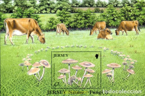 Sellos: 185016 MNH JERSEY 2005 SETAS - Foto 1