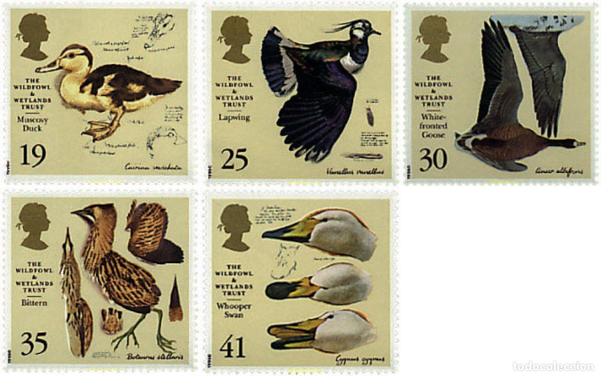 Sellos: 66160 MNH GRAN BRETA&Ntilde;A 1996 50 ANIVERSARIO DE LA FUNDACION PARA LOS PAJAROS SALVAJES