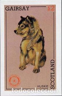 Sellos: GB LOCAL GAIRSAY 1984 SHEET ROTARY HUSKIE HUSKY DOGS CHIENS PERROS HUNDEN CANI CAES