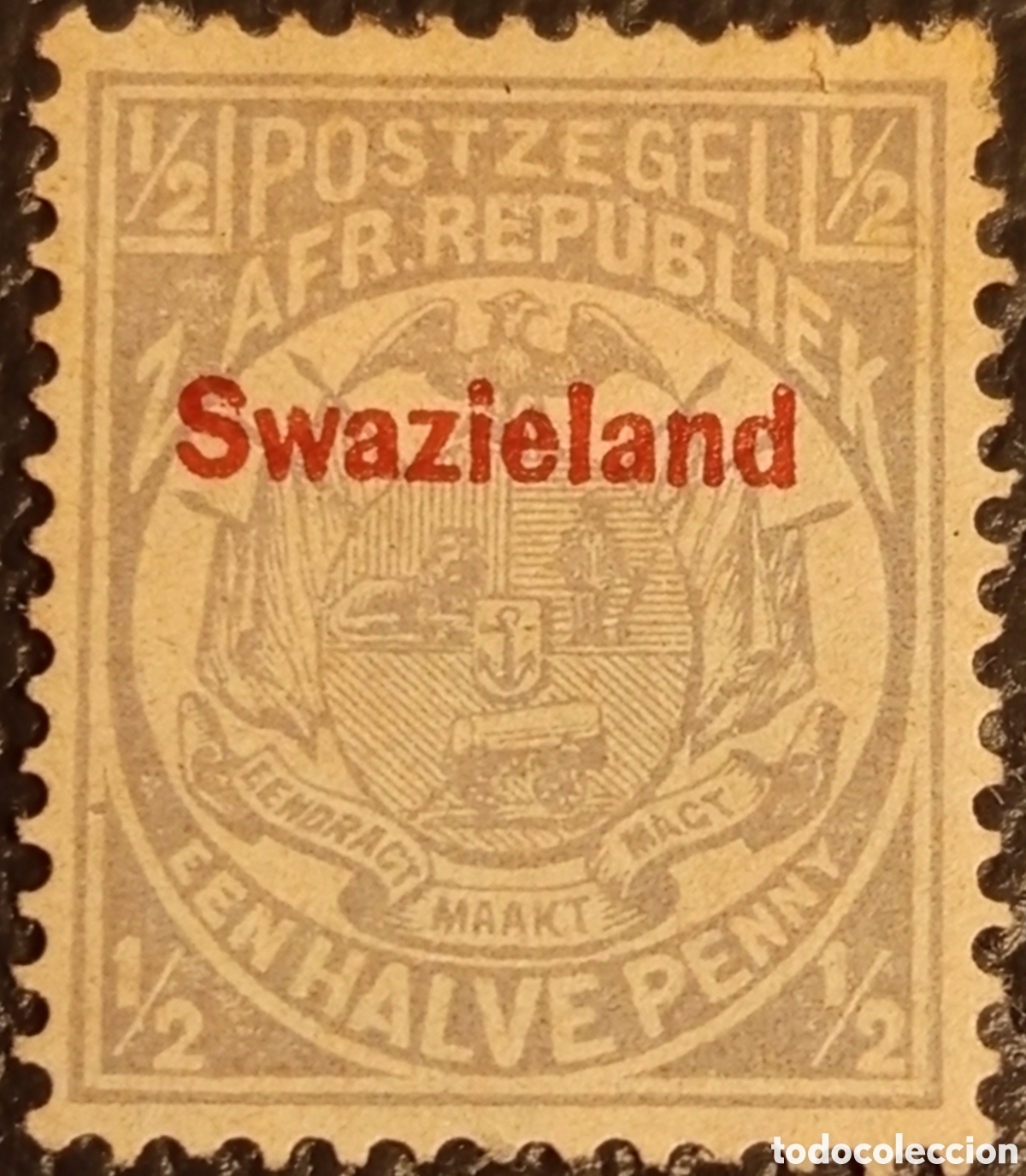 Sellos: Sello Suazilandia 1889 - 1/2d Gris Sobrecargado - MH - Scott #8 / SG #1