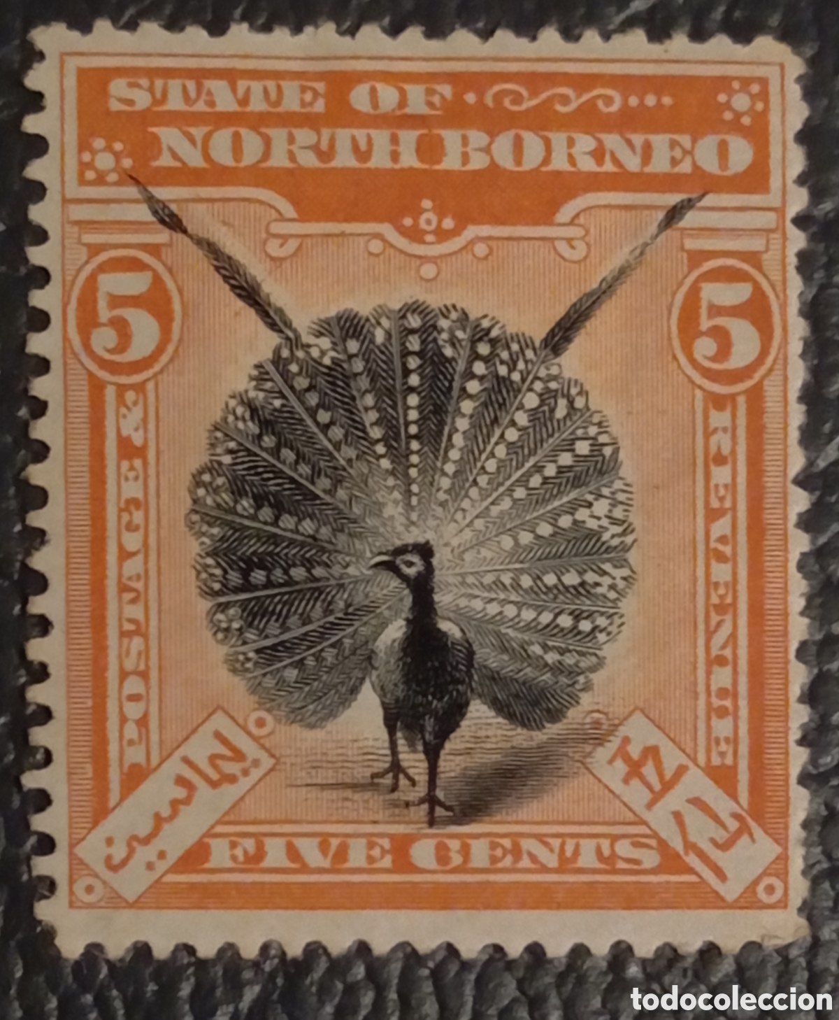 Sellos: Sello North Borneo 1901 - 5c Fais&aacute;n Argus - Michel Nr. 83 MH
