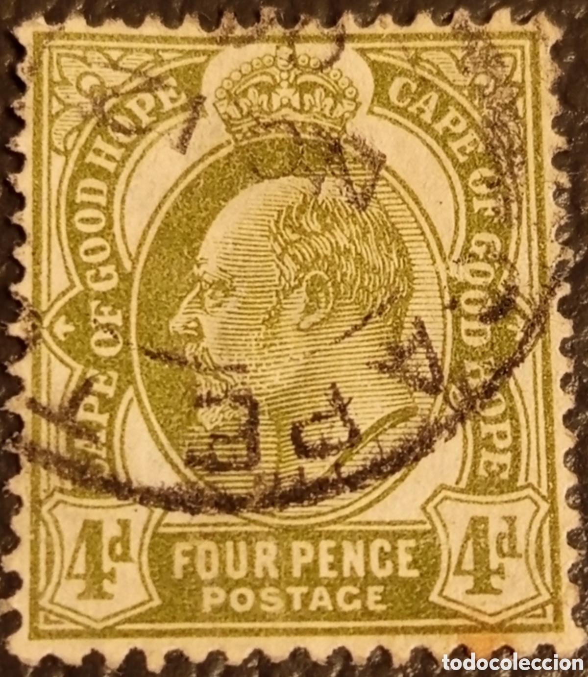 Sellos: Sello Cape of Good Hope 1902 - Rey Eduardo VII - 4d Verde Oliva (SG 74) Usado