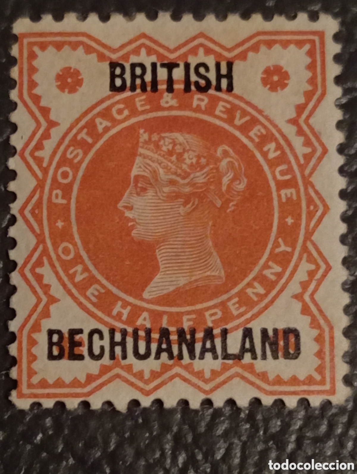 Sellos: British 1888 Bechuanaland 1/2d Vermilion - SG 9 - MH