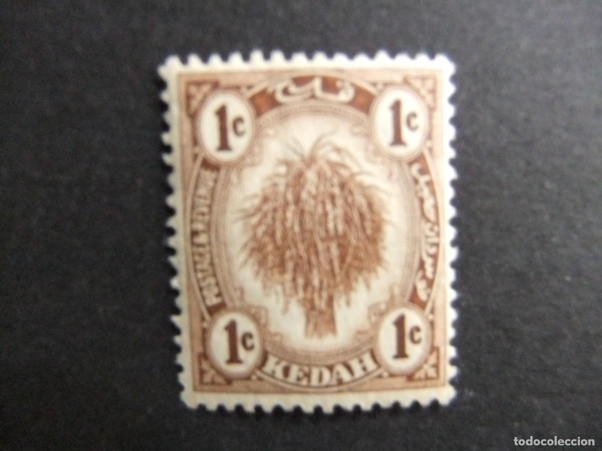 Sellos: 43 KEDAH MALAYSIA 1921 1936 / ARROZAL / YVERT 23 MNH
