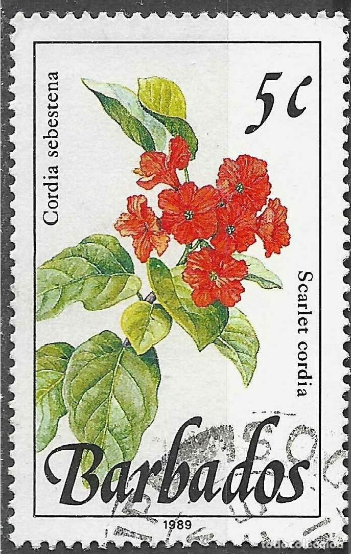 Sellos: BARBADOS/1989/USED/SC#754/ PLANTAS SALVAJES/ FLORES / 5c SCARLET CORDIA