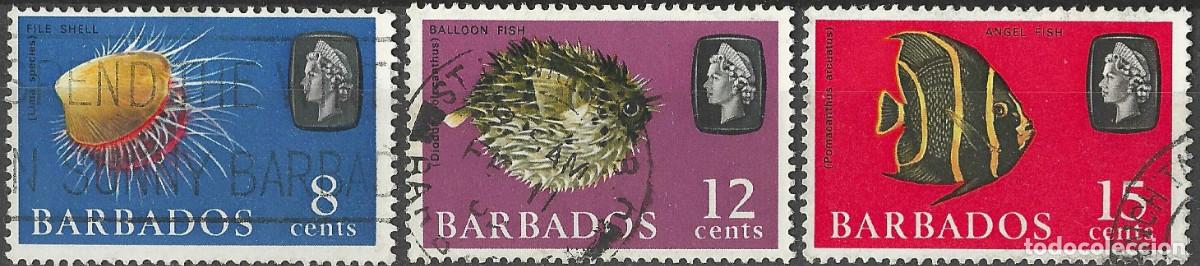 Sellos: BARBADOS/1965/USED/SC#273-5/ REINA ELIZABETH II/ QEII /VIDA MARINA/ PECES/ 3v/14v