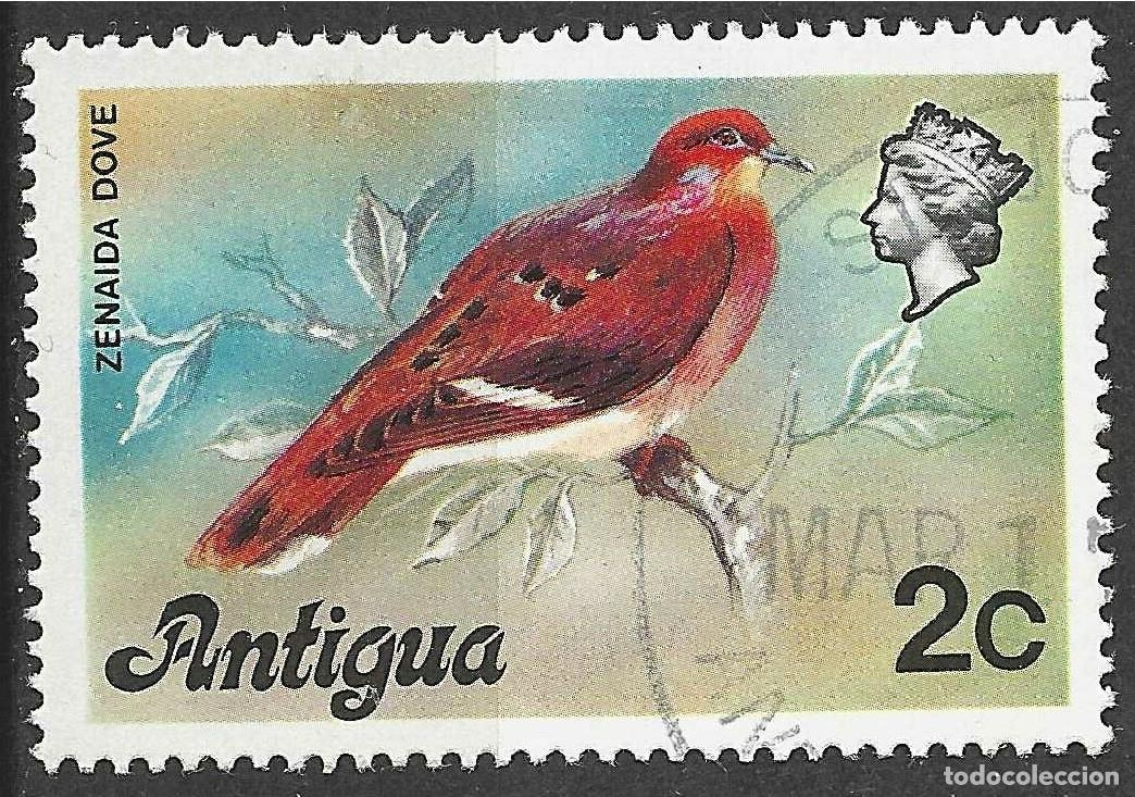 Sellos: ANTIGUA/1976/USED/SC#407/ AVES / 2c ZENAIDA DOVE