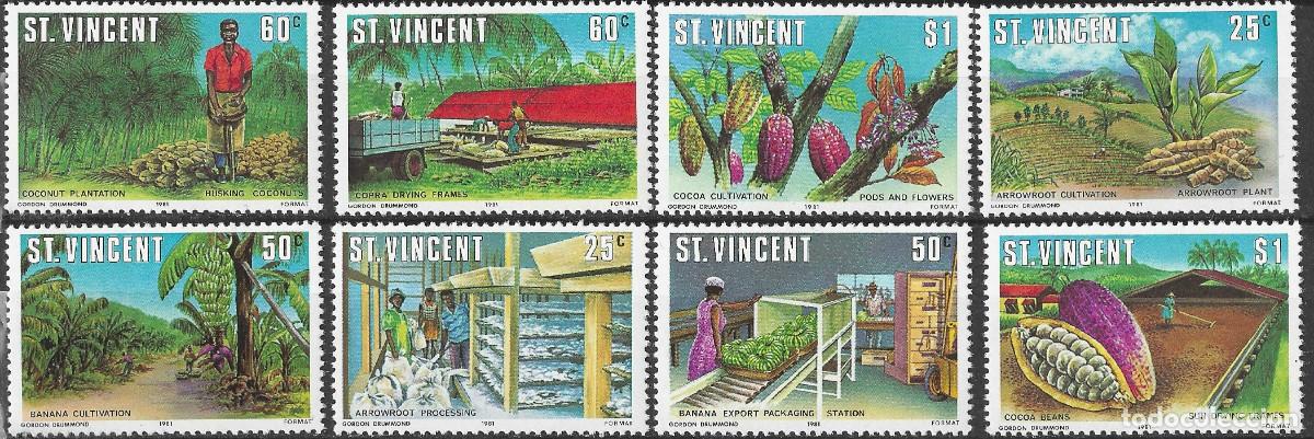 Sellos: ST. VINCENT/1981/MNH/SC#619-222/ BANANA/ CACAO/ PLANTACION/ CULTIVANDO/ FULL SET