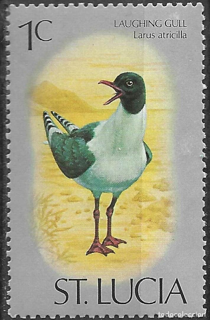 Sellos: ST. LUCIA/1976/MNH/SC#387/ AVES MARINAS / 1c LAUGHING GULL