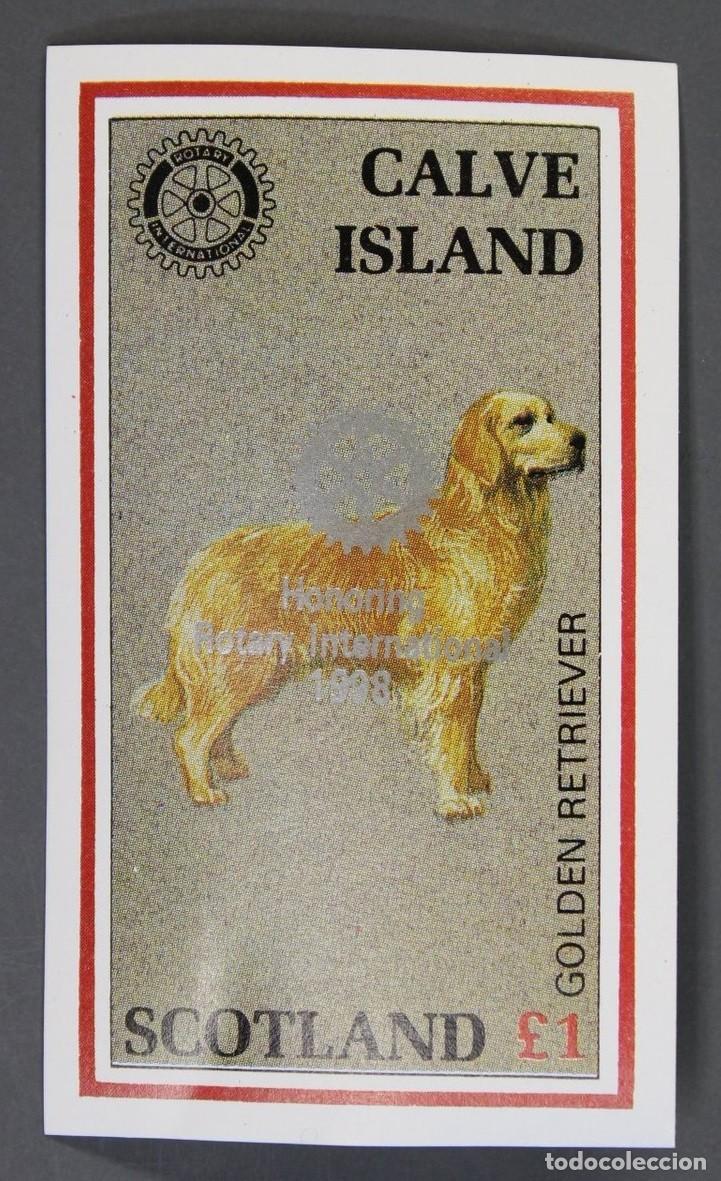 Sellos: GB LOCAL CALVE ISLAND 1984 SHEET MNH SILVER OVERPRINTED ROTARY GOLDEN RETRIEVER DOGS CHIENS PERROS
