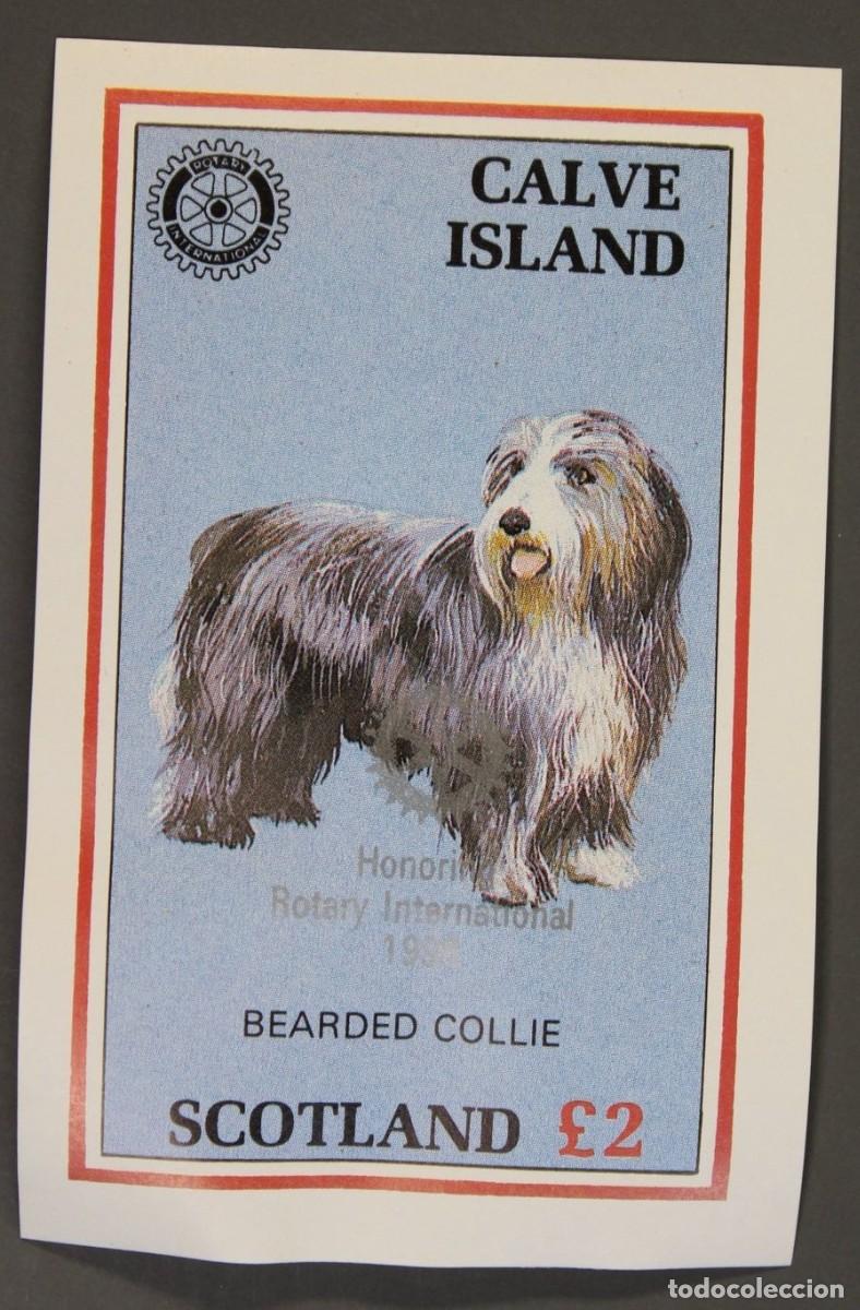 Sellos: GB LOCAL CALVE ISLAND 1984 SHEET MNH SILVER OVERPRINTED ROTARY BEARDED COLLIE DOGS CHIENS PERROS