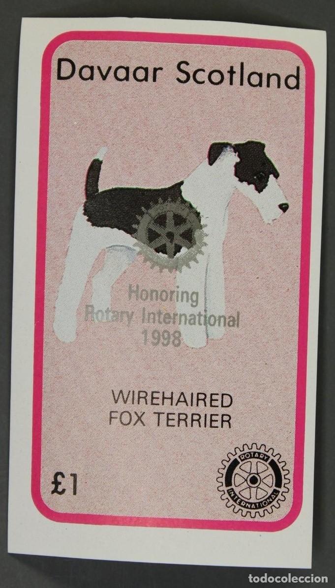 Sellos: DAVAAR ISLAND 1984 SHEET MNH SILVER OVERPRINTED ROTARY WIREHAIRED FOX TERRIER DOGS CHIENS PERROS